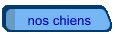 nos chiens